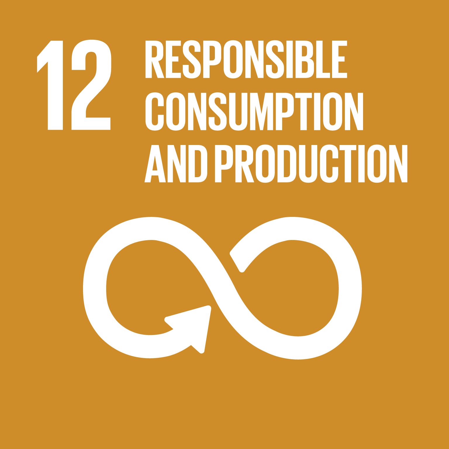 SDG 12 负责任消费与生产