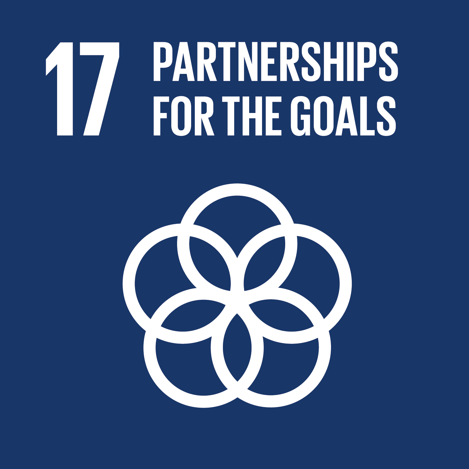 SDG 17 促进目标实现的伙伴关系