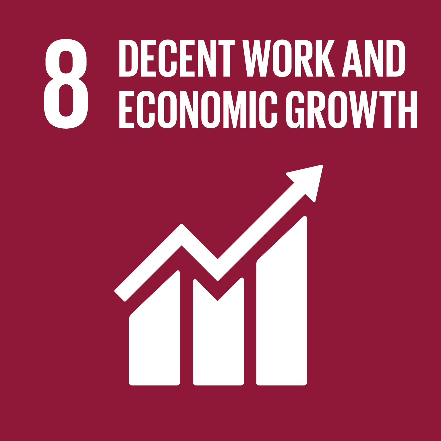 SDG 8 体面工作和经济增长
